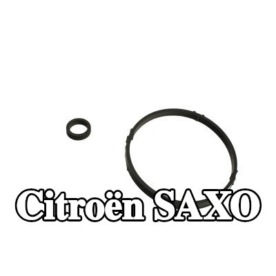 FAST حشية مبرد الزيت كتلة المحرك — Citroën Saxo