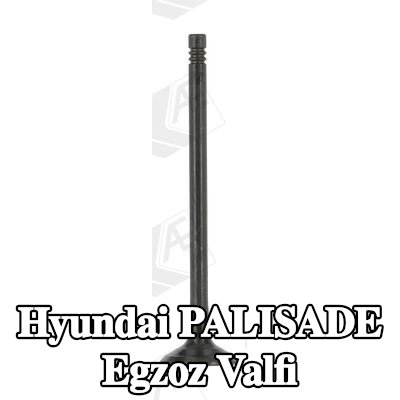 AE Egzoz valfi — Hyundai Palisade