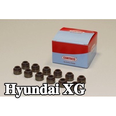 CORTECO مجموعة سدادات صمامات الصمامات — Hyundai Xg