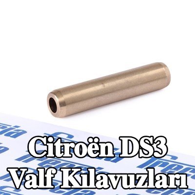 FRECCIA Valf Kılavuzları — 2009 Citroën Ds3