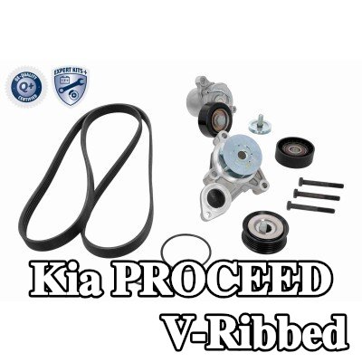 ACKOJA مجموعة أحزمة V-Ribbed — 2012 Kia Proceed