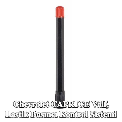 TIPTOP Valf, lastik basıncı kontrol sistemi — 1990 Chevrolet Caprice