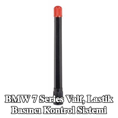 TIPTOP Valf, lastik basıncı kontrol sistemi — 1990 BMW 7 Series
