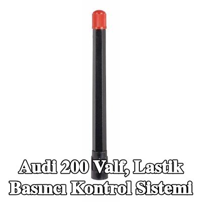 TIPTOP Valf, lastik basıncı kontrol sistemi — Audi 200