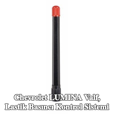 TIPTOP Valf, lastik basıncı kontrol sistemi — 1990 Chevrolet Lumina