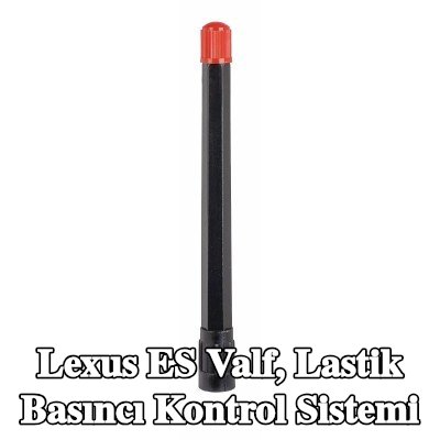 TIPTOP Valf, lastik basıncı kontrol sistemi — 1990 Lexus Es