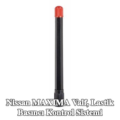TIPTOP Valf, lastik basıncı kontrol sistemi — 1990 Nissan Maxima