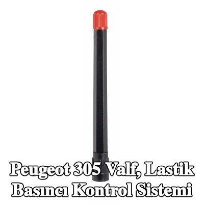 TIPTOP Valf, lastik basıncı kontrol sistemi — Peugeot 305