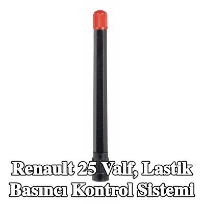 TIPTOP Valf, lastik basıncı kontrol sistemi — Renault 25