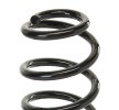 SACHS Helezon yay — Volkswagen Touran (3)