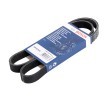 BOSCH Serpantin kayışı 1045mm, Number of ribs: 6 — Opel Vectra (1)