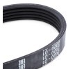 BOSCH Serpantin kayışı Elastik, 705mm, Number of ribs: 5 — 2012 Ford Focus (3)