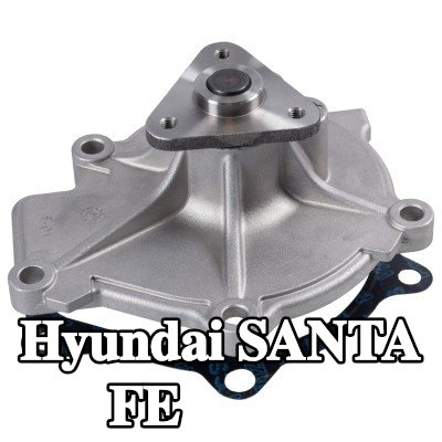 FEBI BILSTEIN مضخة مياه مع حشية/مانع تسرب — Hyundai Santa Fe