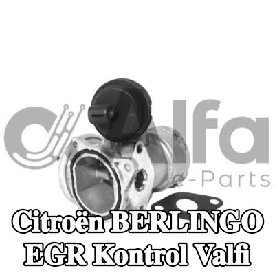 Alfa e-Parts Conalı/sızdırmazlık elemanlı EGR kontrol valfi — 2005 Citroën Berlingo