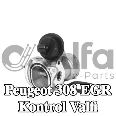 Alfa e-Parts Conalı/sızdırmazlık elemanlı EGR kontrol valfi — 2008 Peugeot 308