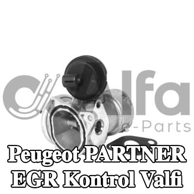 Alfa e-Parts Conalı/sızdırmazlık elemanlı EGR kontrol valfi — 2005 Peugeot Partner