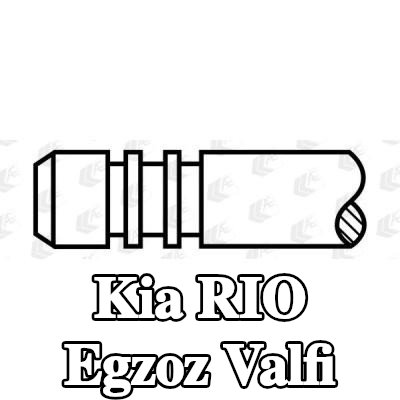 AE Egzoz valfi — Kia Rio