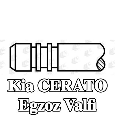 AE Egzoz valfi — Kia Cerato