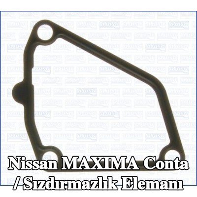 AJUSA Conta / Sızdırmazlık elemanı — Nissan Maxima