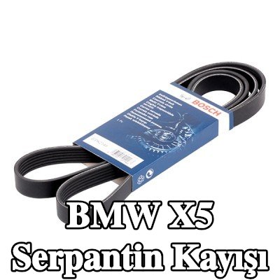 BOSCH Serpantin kayışı 2145mm, Number of ribs: 6 — 2016 BMW X5