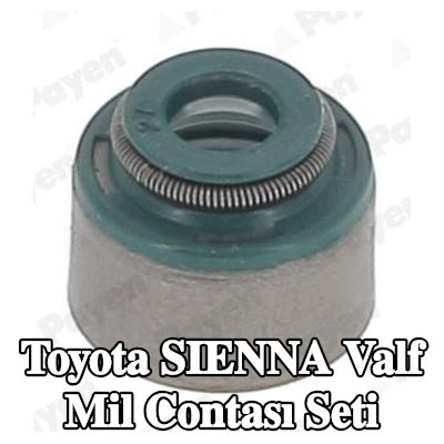 PAYEN Valf mil contası seti — 2000 Toyota Sienna