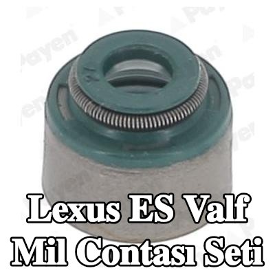 PAYEN Valf mil contası seti — 2000 Lexus Es