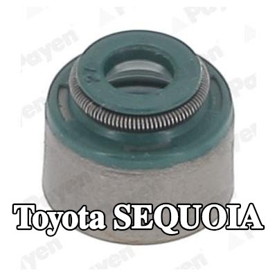 PAYEN مجموعة سدادات صمامات الصمامات — Toyota Sequoia