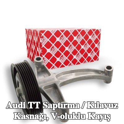 FEBI BILSTEIN Saptırma / kılavuz kasnağı, V-ribbed belt Outer Diameter: 110mm, tutuculu — Audi Tt