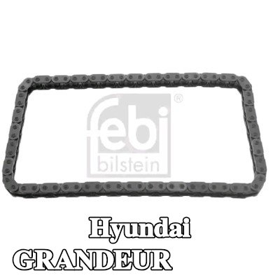 FEBI BILSTEIN سلسلة التوقيت تتطلب أدوات خاصة للتركيب — Hyundai Grandeur