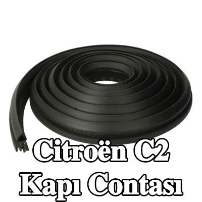 BLIC Kapı contası — 2003 Citroën C2