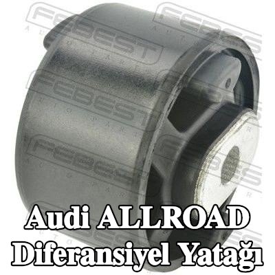 FEBEST Diferansiyel yatağı, ön — Audi Allroad