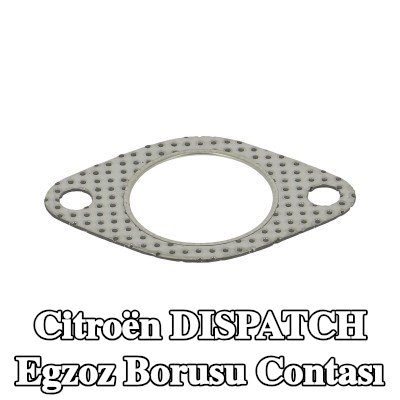 WALKER Egzoz borusu contası — 1997 Citroën Dispatch