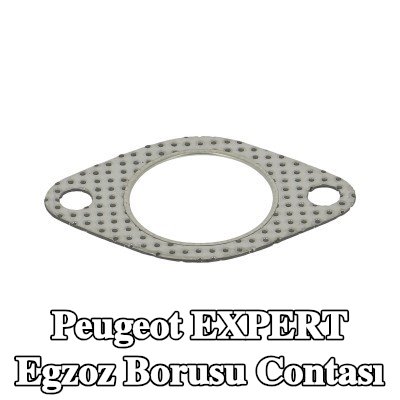 WALKER Egzoz borusu contası — 1997 Peugeot Expert