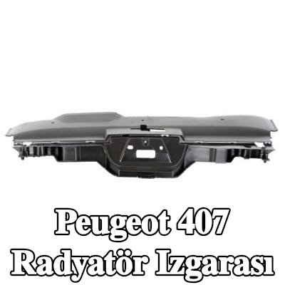 BLIC Radyatör ızgarası, siyah — Peugeot 407