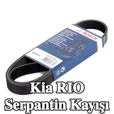 BOSCH Serpantin kayışı 923mm, Number of ribs: 6 — Kia Rio