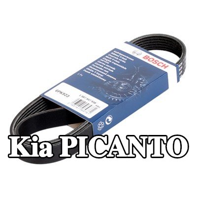 BOSCH حزام سيربنتين 923mm, Number of ribs: 6 — Kia Picanto