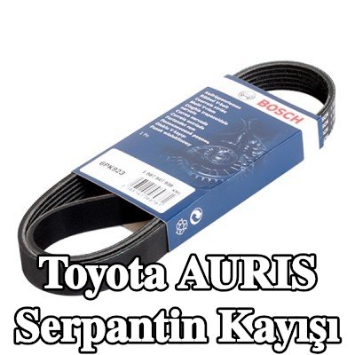 BOSCH Serpantin kayışı 923mm, Number of ribs: 6 — Toyota Auris