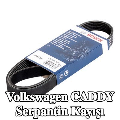 BOSCH Serpantin kayışı 923mm, Number of ribs: 6 — 2002 Volkswagen Caddy