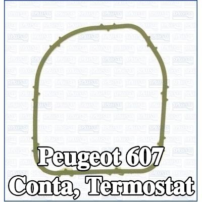 AJUSA Conta, termostat Silindir Kafası — Peugeot 607