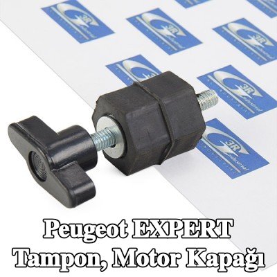 3RG Tampon, motor kapağı — 2002 Peugeot Expert