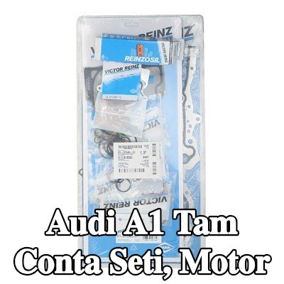 REINZ Tam Conta Seti, krank mili contalı motor, valf gövdesi contalı, entegre mil contası olmadan — 2012 Audi A1