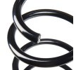 SACHS Helezon yay — Volkswagen T-roc (3)