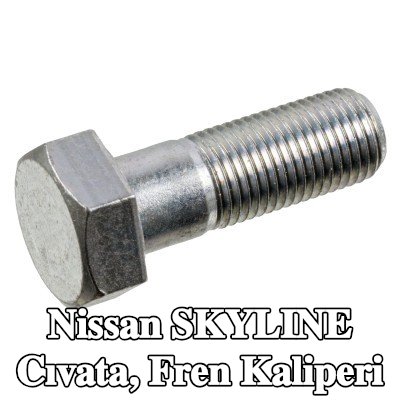 FEBI BILSTEIN Cıvata, fren kaliperi — Nissan Skyline