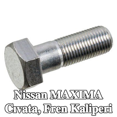 FEBI BILSTEIN Cıvata, fren kaliperi — Nissan Maxima