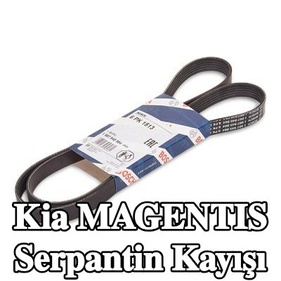 BOSCH Serpantin kayışı 1513mm, Number of ribs: 6 — Kia Magentis