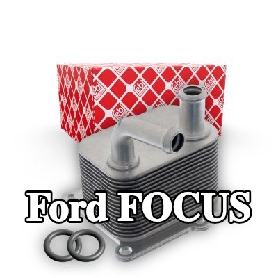 FEBI BILSTEIN مبرد زيت المحرك مع الحشوات/الأختام — 2002 Ford Focus