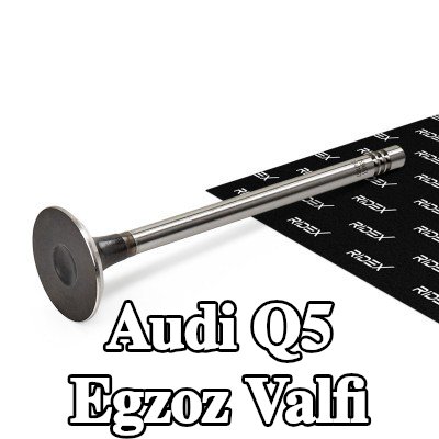 RIDEX Egzoz valfi — Audi Q5