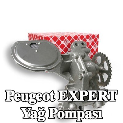 FEBI BILSTEIN Dişlili yağ pompası — 1997 Peugeot Expert