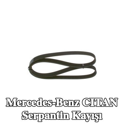 BOSCH Serpantin kayışı 1165mm, Number of ribs: 6 — Mercedes-Benz Citan
