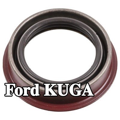 FEBI BILSTEIN حشية العمود, التروس التفاضلية اليسرى, يمين — Ford Kuga